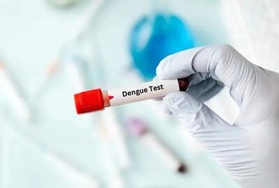 زنگ خطری از جنوب/ افزایش ۱۲برابری مبتلایان تب دنگی