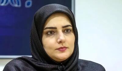 معاون دفتر هیات دولت: درباره بحران‌های اصلی ایران «توافق نسبی» وجود دارد