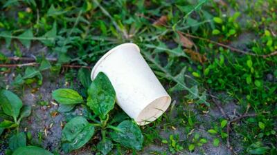 ممنوعیت استفاده از ظروف یک‌بارمصرف در سازمان محیط‌زیست