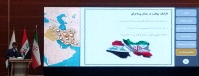 تمرکز باید بر جلوگیری از خام‌فروشی باشد