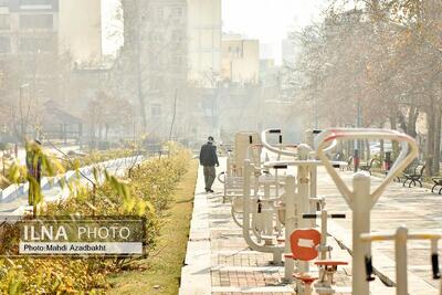 سه‌شنبه و چهارشنبه؛ اجرای طرح زوج و فرد در تهران از در منازل