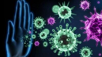 سیستم ایمنی سالمندان، جوان می‌‌شود