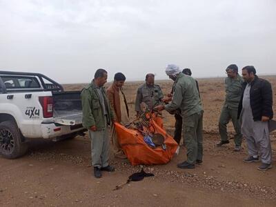 جمع‌آوری بیش از ۷۰ تله زنده‌گیری پرندگان در خاش و تفتان