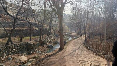  قرارگاه کوهستان در روددره فرحزاد راه‌اندازی می‌شود