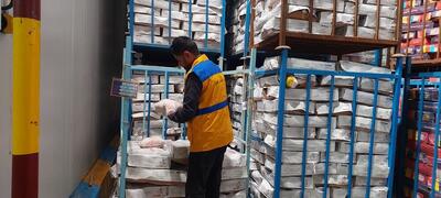  رئیس اداره دامپزشکی شهرستان: ۳۰۰ کیلو گوشت ناسالم در زاهدان معدوم شد