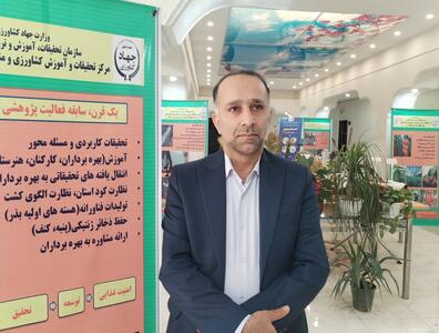  ورامین پیشتاز پژوهش آموزشی استان تهران/ کسب رتبه‌های برتر کشوری و استانی در هفته پژوهش