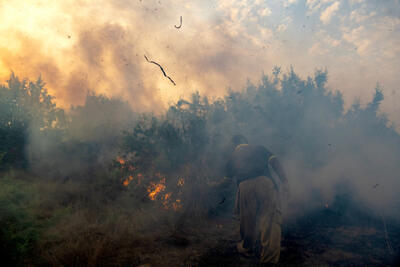  یک مقام سازمان محیط‌زیست: برآوردها نشان می دهد که حدود ۲۰ درصد از محدوده ۱۸۰ هکتاری جنگل‌های الیت که دچار حریق شده، خسارت دیده که امیدواریم در فصل بهار احیا شود