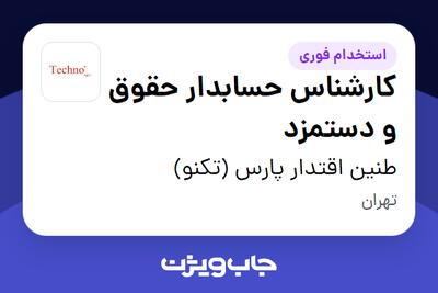  استخدام کارشناس حسابدار حقوق و دستمزد در طنین اقتدار پارس (تکنو)