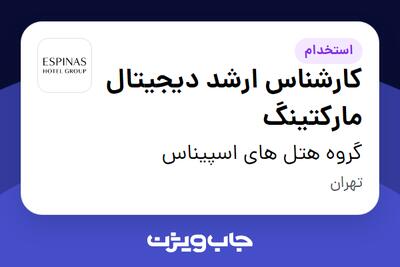  استخدام کارشناس ارشد دیجیتال مارکتینگ در گروه هتل های اسپیناس