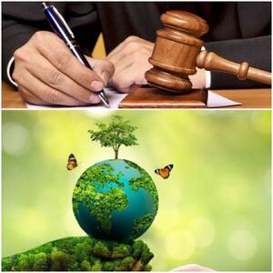  لرستان  پیشتاز در صدور آرای سبز قضایی در حوزه حفاظت محیط زیست