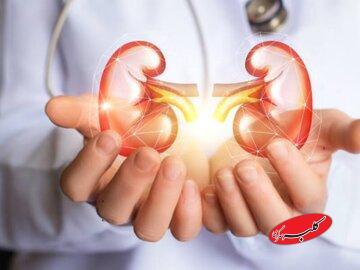  هشدار؛ این مسکن را با کافئین نخورید/ خطرات ترکیب این دارو و کافئین برای سلامت کلیه و بدن - کلبه سرگرمی