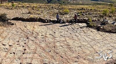 ببینید؛ ۱۶ هزار ردّپا از دایناسورهایی که ۶۶ میلیون سال قبل در اینجا می‌دویدند! - مجله اینترنتی کولاک