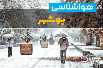 هواشناسی بوشهر سه شنبه ۲ دی ۱۴۰۴ + آب و هوای بوشهر تا چند روز آینده - مجله اینترنتی کولاک