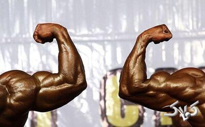 از اسناد جعلی تا پیامک جنجالی؛ پای یک آشنا در ماجرای فدراسیون بدنسازی؟ - مجله اینترنتی کولاک