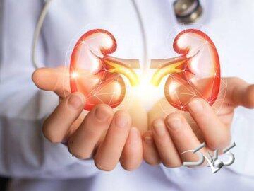 هشدار؛ این مسکن را با کافئین نخورید/ خطرات ترکیب این دارو و کافئین برای سلامت کلیه و بدن - مجله اینترنتی کولاک