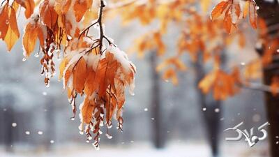 هشدار فوری در چند استان کشور صادر شد / سامانه بارشی سنگین دوباره برمی‌گردند - مجله اینترنتی کولاک