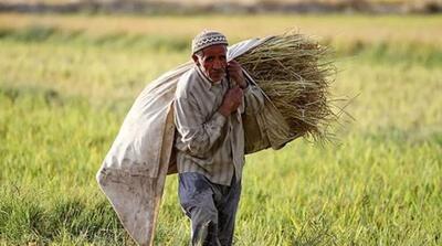 بازنشستگانی که ۲ میلیون تومان حقوق می‌گیرند! - مردم سالاری آنلاین