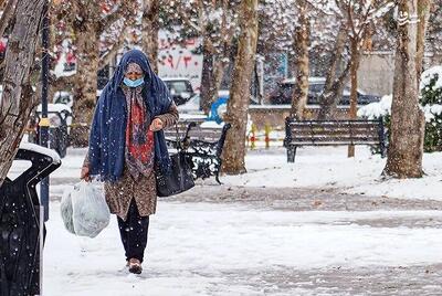  عکس/ بارش برف در بجنورد
