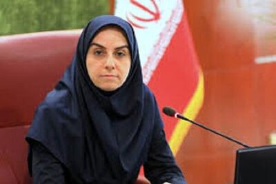 کیوانی: بی‌توجهی به پژوهش، تصمیم‌گیری‌های سطحی را به‌دنبال دارد