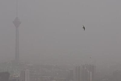 وضعیت آلودگی هوای تهران در اولین روز زمستان