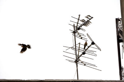 همسایگان کمتر شناخته‌شده ما