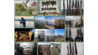  افزایش کشفیات و برخورد قضایی با متخلفان هم‌زمان با اوج مهاجرت پرندگان