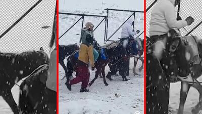  فیلم آغاز سردترین دوره زمستان در کشمیر