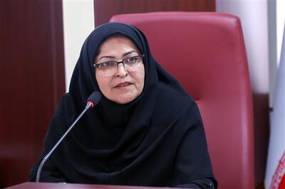 فرزانه انصاری: استانداردسازی کارگاه‌های تولیدات مشاغل خانگی ضروری است