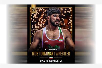 جایزه مسلط‌ترین فرنگی‌کار جهان به سعید اسماعیلی رسید