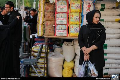 انتقاد رئیس کمیسیون کشاورزی مجلس از وضعیت قیمت نان، برنج و گوشت