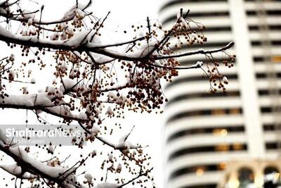 خراسان‌ها جزو استان‌های پربارش در آذر ماه ۱۴۰۴ بودند + فیلم