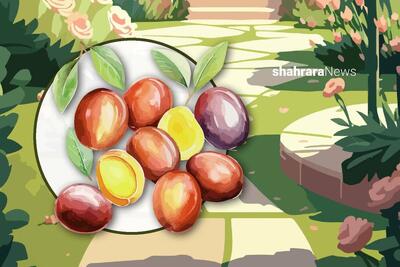 دانستنی‌هایی برای کودکان | عناب؛ میوه‌ی شگفت‌انگیز