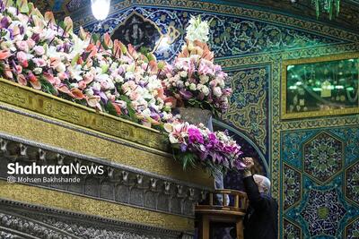 گل‌های عاقبت بخیر + فیلم