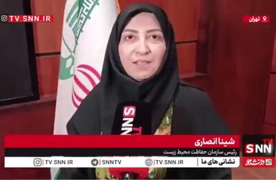 انصاری: موضوع استفاده از آب‌های زیرزمینی یکی از اولویت‌های دولت است + فیلم