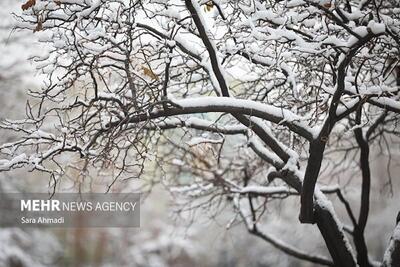 تخریب ۱۳ خانه‌روستایی در خراسان رضوی به خاطر برف