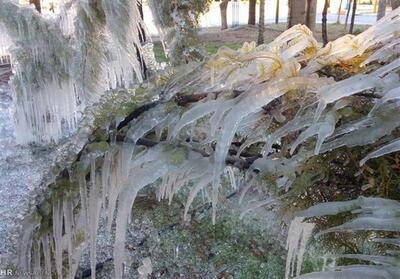 شهرکرد در صدر جدول سرما/سردترین مرکز استان کشور با منفی 16 درجه سانتیگراد - تسنیم