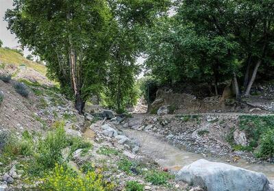 اخبار تهران|بررسی روند تبدیل پادگان ساصد خیابان پیروزی به بوستان - تسنیم