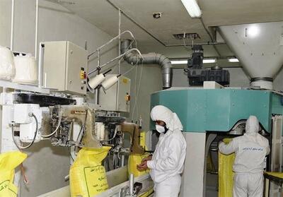 آرد گلستان به 16 استان دیگر می‌رود - تسنیم