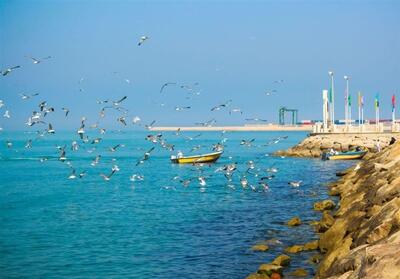 آرامش نسبی جو در بوشهر؛ بادهای شمال‌غربی در راه سواحل جنوبی - تسنیم