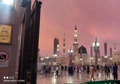 از کوچه بنی‌هاشم تا روضه رضوان؛ روایت یک سفر دانشجویی به مدینه - تسنیم