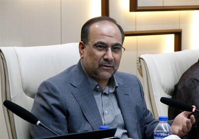 مخبردزفولی: انسجام علمی پرهیز از نگاه فصلی به اسناد بالادستی است - تسنیم