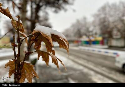 داوم سرمای هوا در سمنان؛ پیش‌بینی بارش برف و افزایش غبار جوی - تسنیم