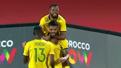 گل دوم آفریقای جنوبی به آنگولا (فوستر)