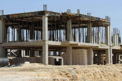 استفاده از ظرفیت های تولید داخل در ساخت مسکن در جهت کاهش قیمت تمام شده ساخت