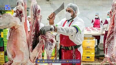 قیمت گوشت قرمز ۲ دی ۱۴۰۴؛ ثبات نرخ‌ها ادامه دارد!