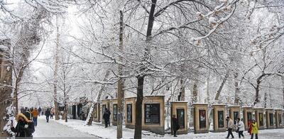 هشدار برف و باران برای تهران/ هوا سردتر می‌شود