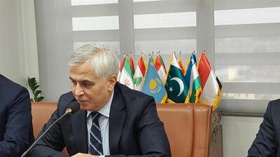  ایران نقش مهمی در تقویت امنیت غذایی کشورهای اسلامی دارد