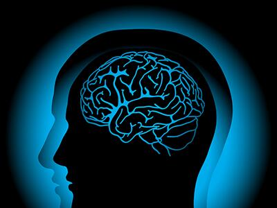 مینی‌مغزها راز اسکیزوفرنی و دوقطبی را فاش کردند