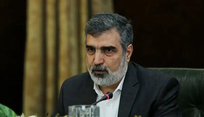 کمالوندی: تمرکز ما بر همکاری هسته‌ای با روسیه است