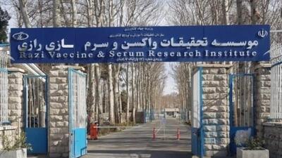  آمادگی کامل مؤسسه رازی برای تأمین واکسن دامی و انتقال دانش فنی به کشورهای اسلامی